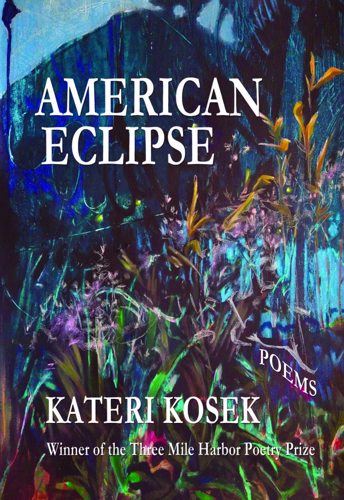 This image has an empty alt attribute; its file name is TMH-American-Eclipse-Front-Bookcover-3-705x1024.jpg